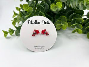 St Peter's Primary School Kennedy Dolphins House Stud Earrings